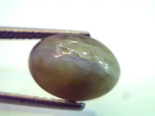 5.65 Ct Untreated Natural Chrysoberyl Cats Eye,Lehsunia Gemstone