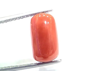5.71 Ct 9.4 Ratti Natural Italian Red Coral Moonga Gemstone