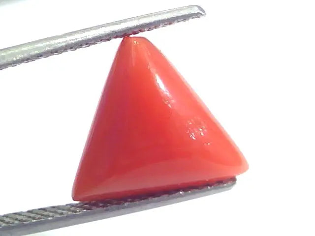 5.69 Ct 9.4 Ratti Natural Italian Triangle Red Coral Moonga Gemstone