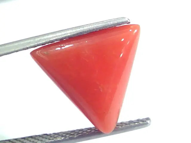 5.69 Ct 9.4 Ratti Natural Italian Triangle Red Coral Moonga Gemstone