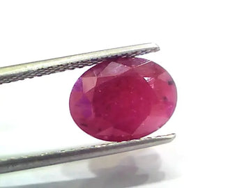 5.72 Ct Certified Unheated Untreated Natural New Burma Ruby