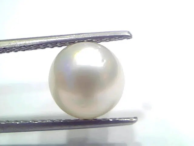 5.56 Ct Natural Certified Real South Sea Pearl Certified Moti