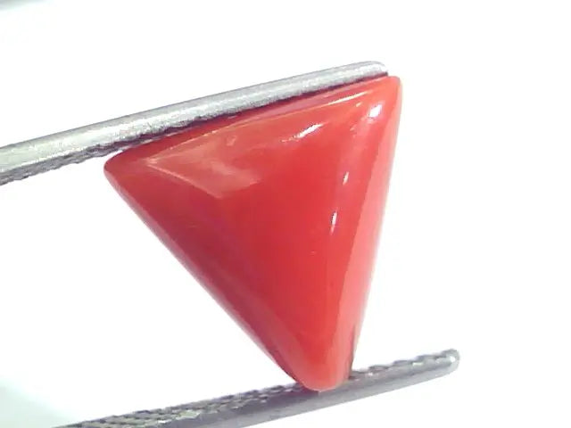 5.76 Ct 9.6 Ratti Natural Italian Triangle Red Coral Moonga Gemstone