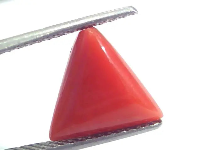 5.76 Ct 9.6 Ratti Natural Italian Triangle Red Coral Moonga Gemstone