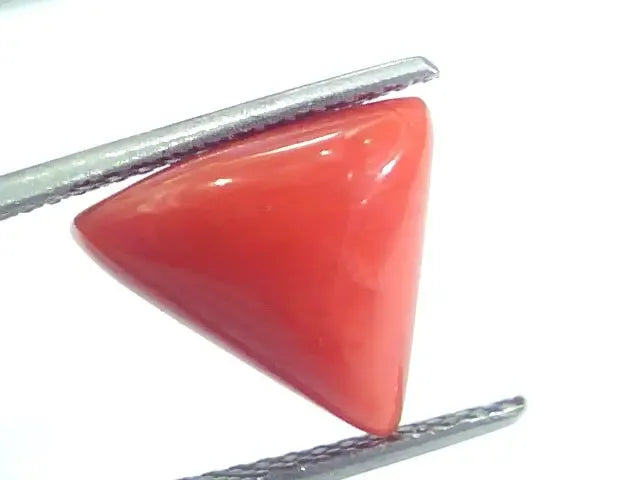 5.77 Ct 6.41 Ratti Natural Italian Triangle Red Coral Moonga Gemstone - Venus Gems