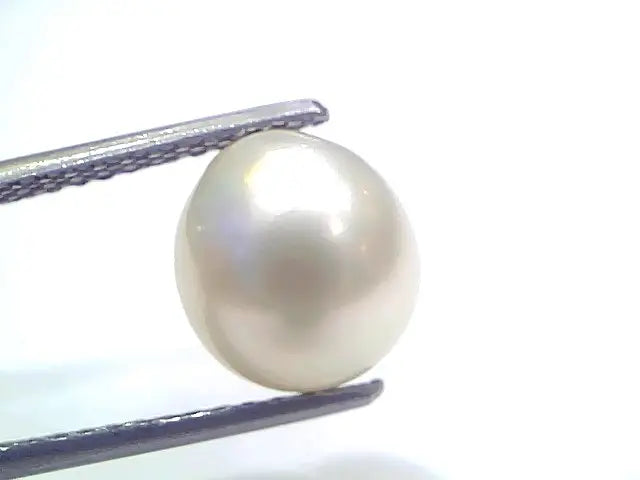 5.87 Ct Natural Certified Real South Sea Pearl Certified Moti