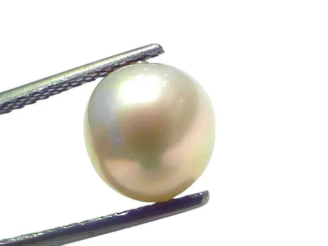 5.87 Ct Natural Certified Real South Sea Pearl Certified Moti - Venus Gems