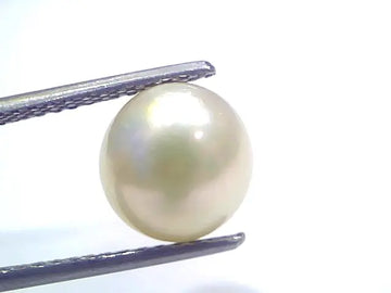 5.92 Ct Natural Certified Real South Sea Pearl Certified Moti