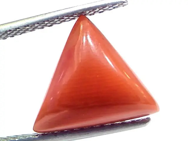 5.90 Ct 9.7 Ratti Natural Italian Triangle Red Coral Moonga Gemstone