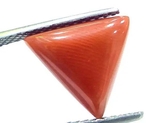 5.90 Ct 9.7 Ratti Natural Italian Triangle Red Coral Moonga Gemstone
