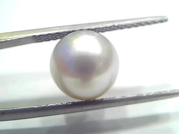 5.83 Ct Natural Certified Real South Sea Pearl Certified Moti