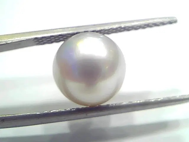5.83 Ct Natural Certified Real South Sea Pearl Certified Moti