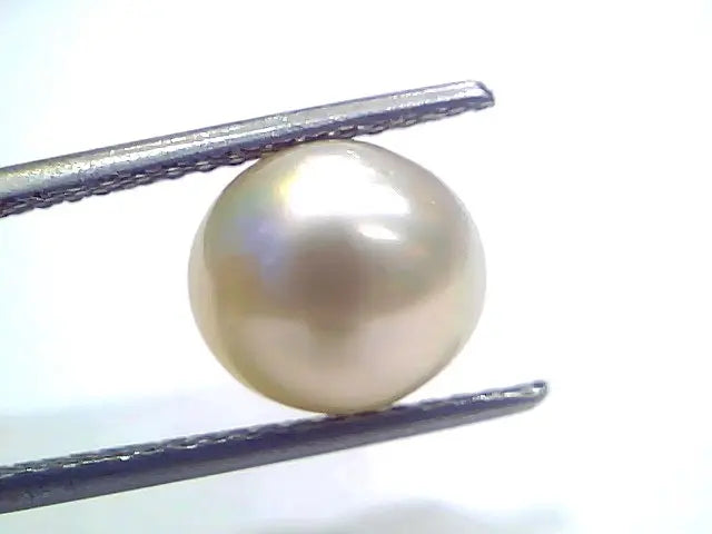 5.93 Ct Natural Certified Real South Sea Pearl Certified Moti