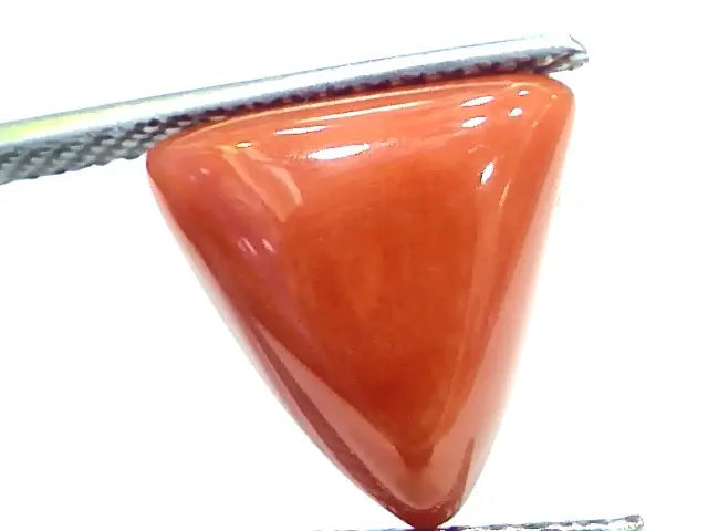 5.95 Ct 9.8 Ratti Natural Italian Triangle Red Coral Moonga Gemstone