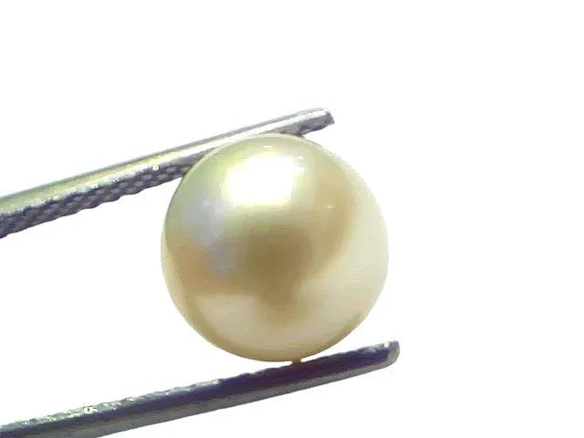 5.99 Ct Natural Certified Real South Sea Pearl Certified Moti - Venus Gems