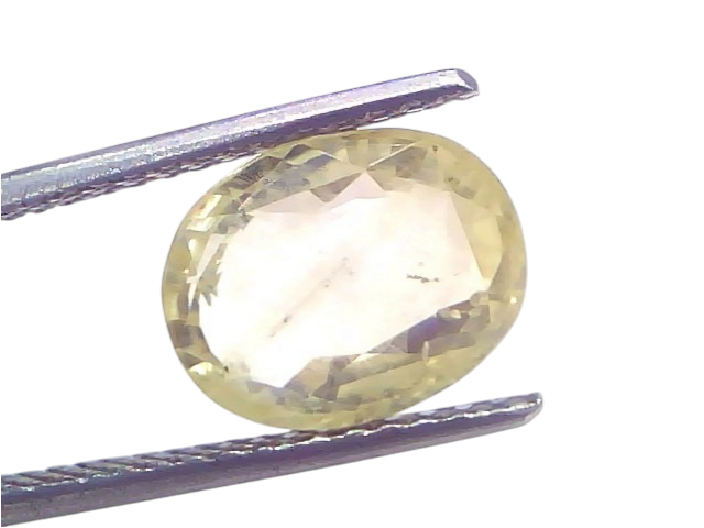 5.71 Ct Certified Unheated Natural Ceylon Yellow Sapphire Pukhraj displayed in tweezers, showcasing its oval cut and yellow h