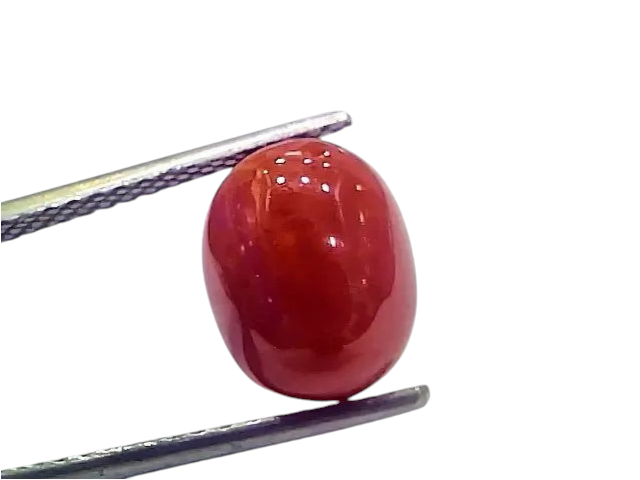 4.99 Ct 5.54 Ratti Natural Italian Red Coral Moonga Gemstone - Venus Gems