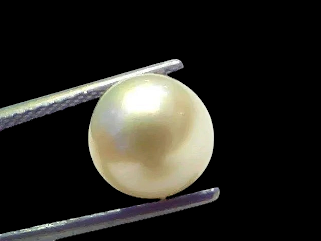 5.99 Ct Natural Certified Real South Sea Pearl Certified Moti - Venus Gems