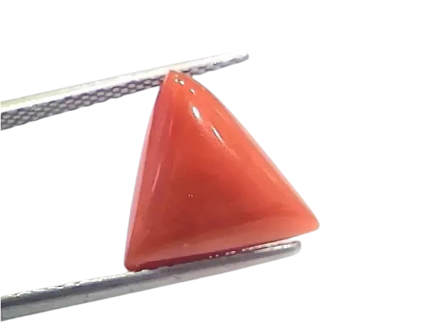 5.73 Ct 6.36 Ratti Natural Italian Triangle Red Coral Moonga Gemstone - Venus Gems