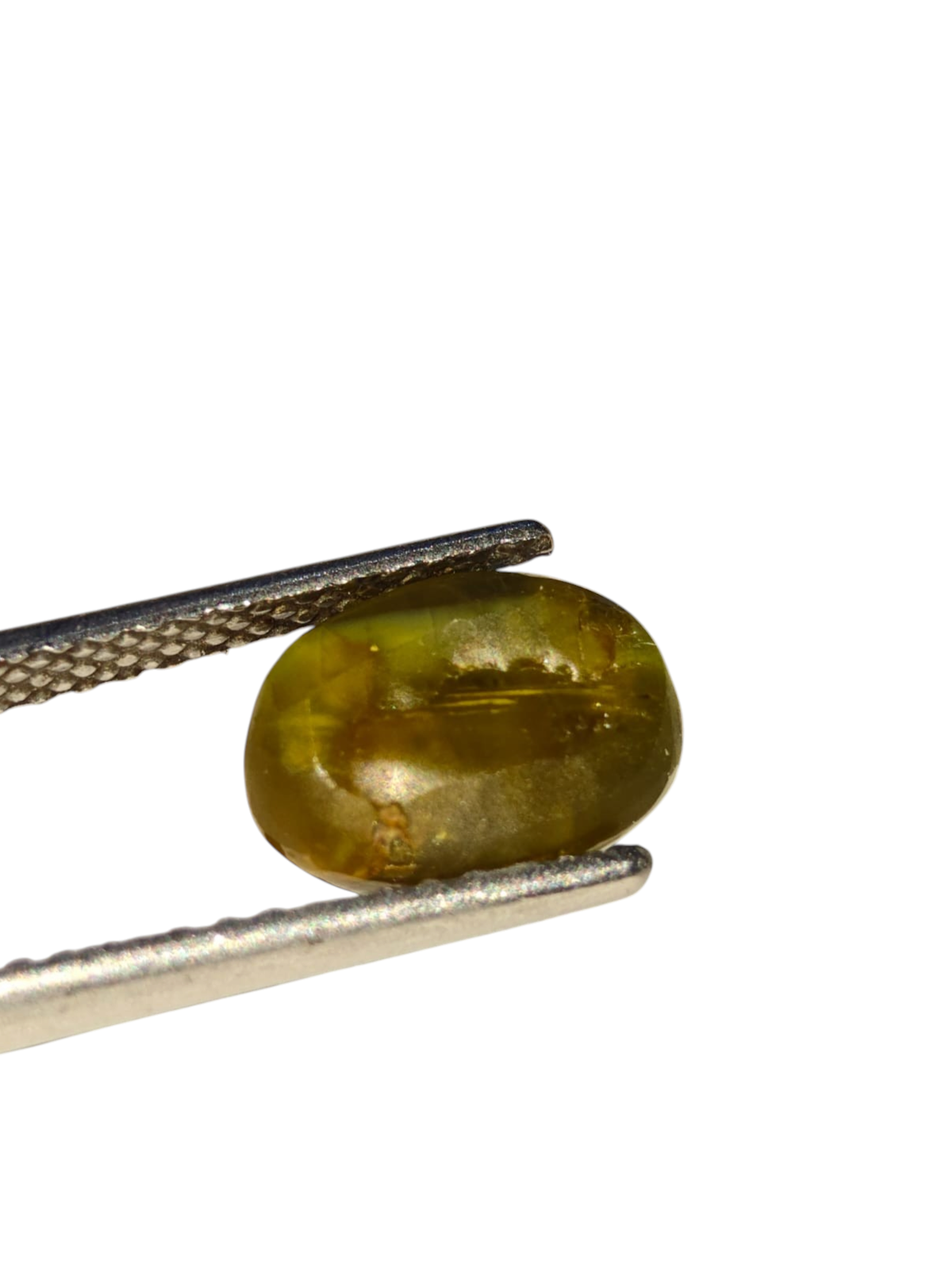 Venus Gems 5.18 carat untreated green chrysoberyl cat's eye gemstone held in tweezers showing chatoyancy