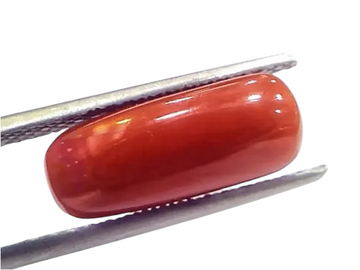 5.21 Ct 5.78 Ratti Natural Untreated Italian Red Coral Moonga Gems - Venus Gems