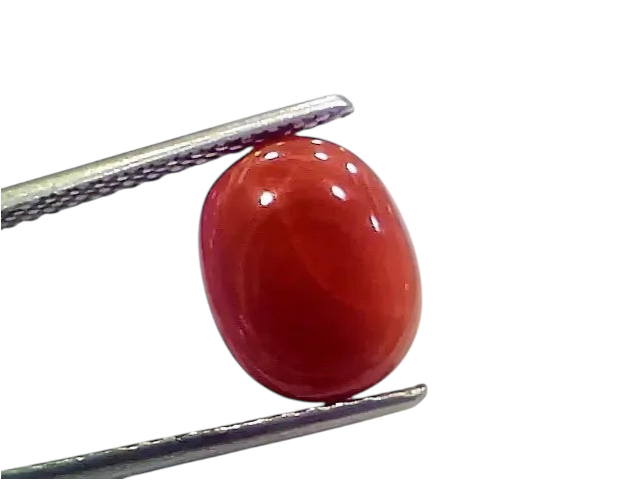 4.99 Ct 5.54 Ratti Natural Italian Red Coral Moonga Gemstone - Venus Gems