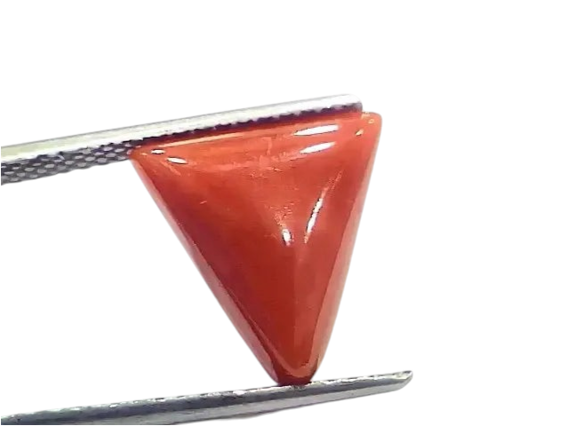 5.92 Ct 6.57 Ratti Natural Italian Triangle Red Coral Moonga Gemstone - Venus Gems