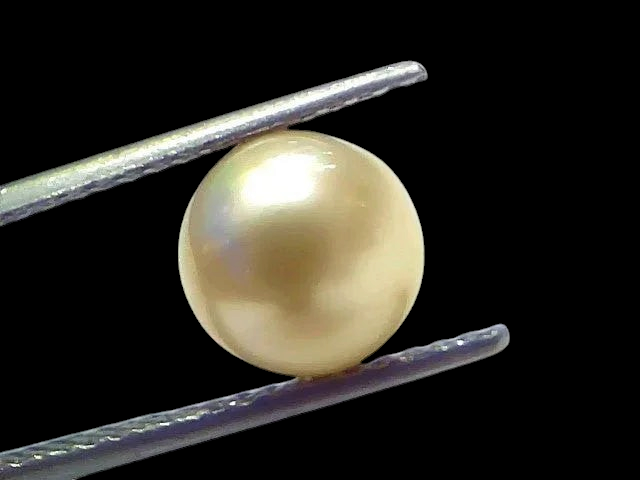 5.14 Ct Natural Certified Real South Sea Pearl Certified Moti - Venus Gems