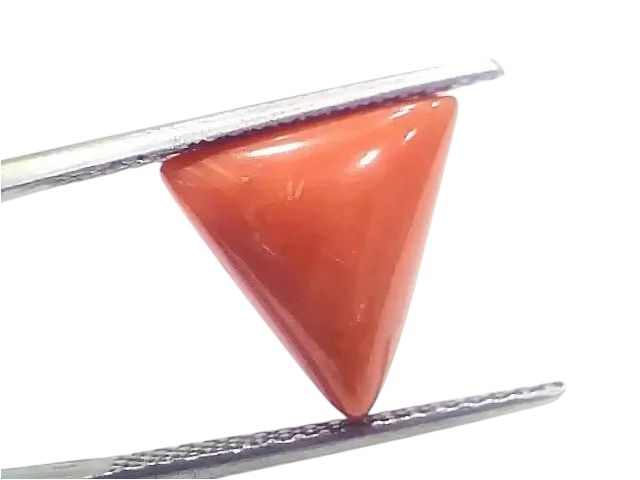 5.97 Ct 6.63 Ratti Natural Italian Triangle Red Coral Moonga Gemstone - Venus Gems