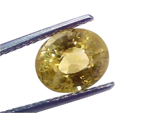 5.53 Ct IGI Certified Unheated Natural Ceylon Yellow Sapphire Pukhraj displayed in a tweezer, showcasing its brilliant yellow
