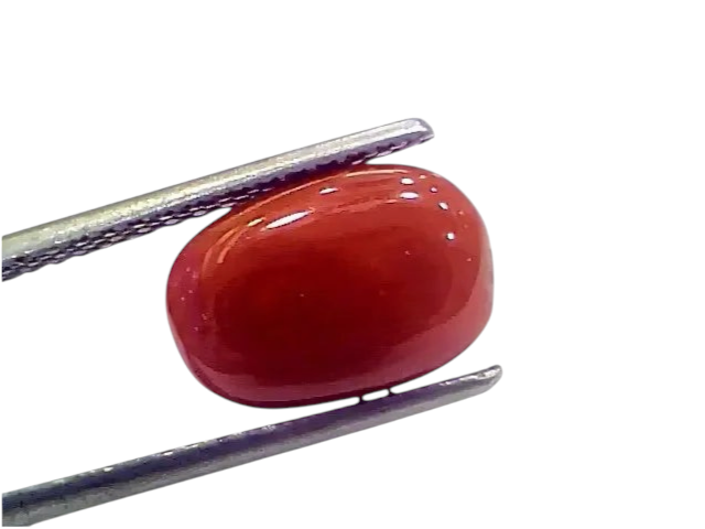 4.93 Ct 5.47 Ratti Natural Italian Red Coral Moonga Gemstone - Venus Gems