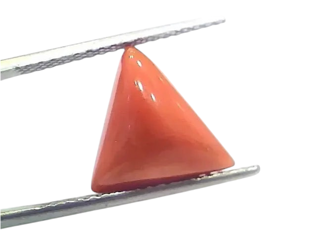 5.97 Ct 6.63 Ratti Natural Italian Triangle Red Coral Moonga Gemstone - Venus Gems