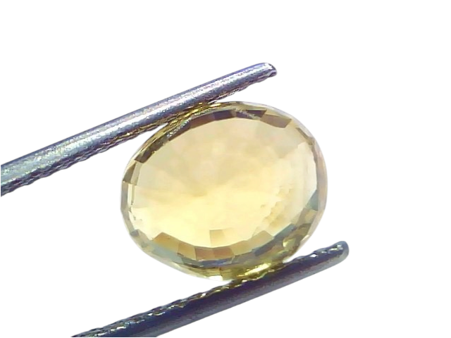 5.53 Ct IGI Certified Unheated Natural Ceylon Yellow Sapphire Pukhraj displayed in a tweezer, showcasing its brilliant yellow