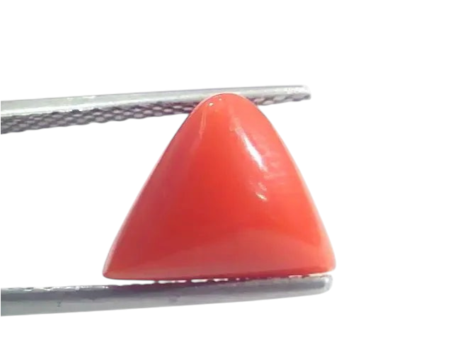 5.19 Ct 5.76 Ratti Natural Italian Triangle Red Coral Moonga Gemstone - Venus Gems