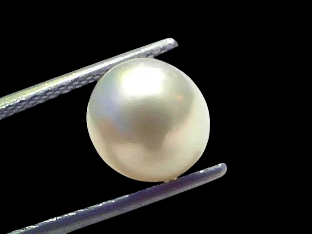 5.32 Ct Natural Certified Real South Sea Pearl Certified Moti - Venus Gems