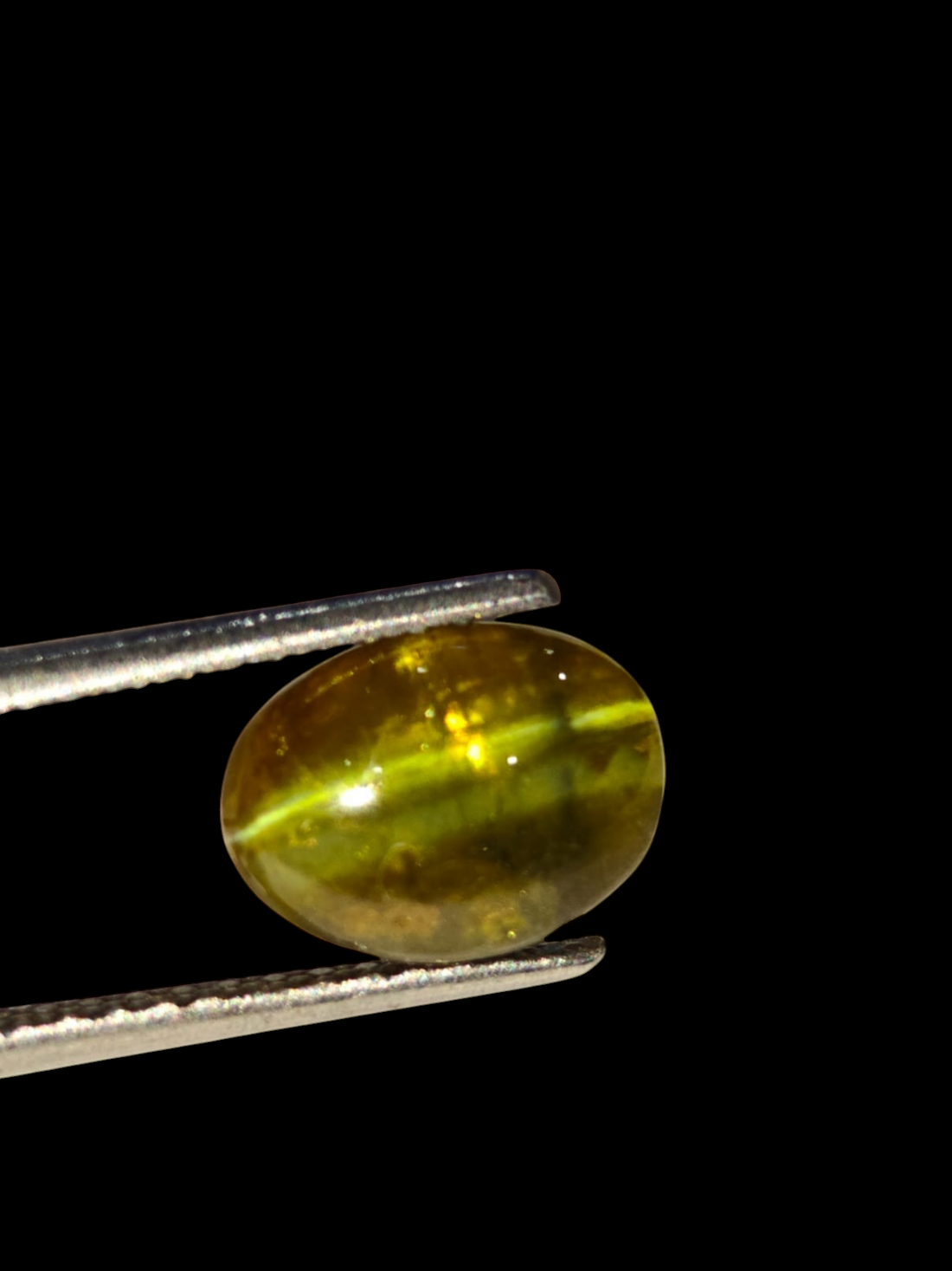 Venus Gems 5.18 carat untreated green chrysoberyl cat's eye gemstone with sharp chatoyancy in an oval cabochon cut.