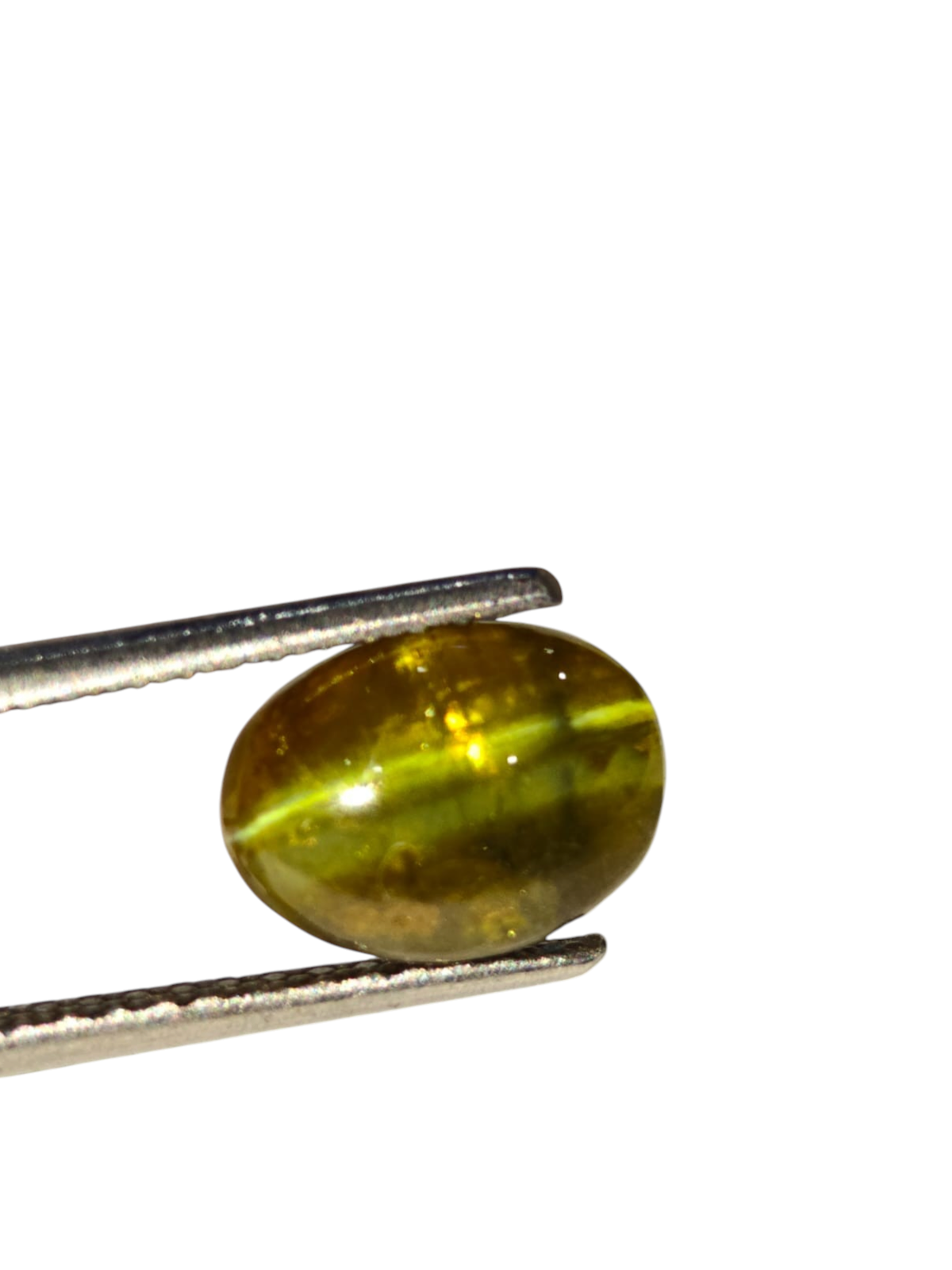 Venus Gems 5.18 carat untreated green chrysoberyl cat's eye gemstone with sharp chatoyancy in an oval cabochon cut.