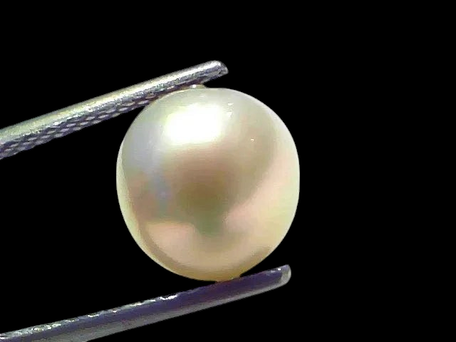 5.87 Ct Natural Certified Real South Sea Pearl Certified Moti - Venus Gems
