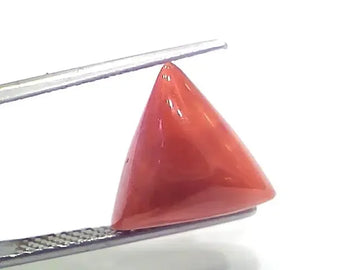 6.00 Ct 6.66 Ratti Natural Italian Triangle Red Coral Moonga Gemstone - Venus Gems