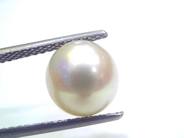 6.03 Ct Natural Certified Real South Sea Pearl Certified Moti
