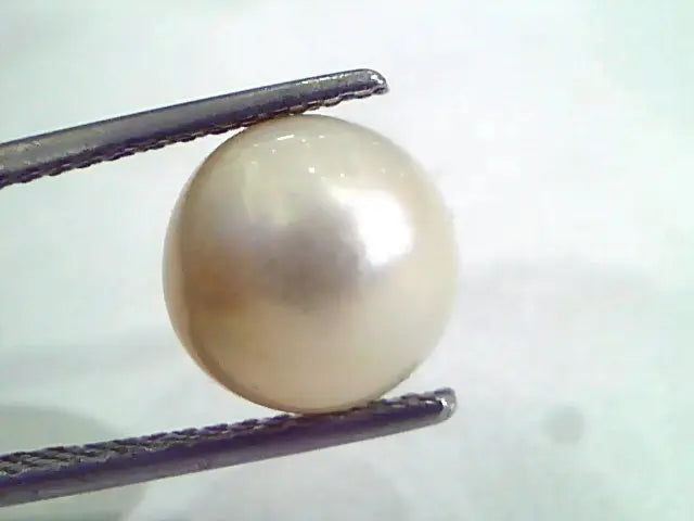 6.02 Ct Natural Certified Real South Sea Pearl,Certified Moti