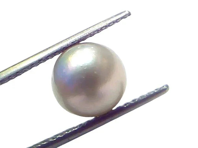 6.06 Ct Natural Certified Real South Sea Pearl Certified Moti - Venus Gems