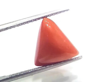 6.09 Ct 6.76 Ratti Natural Italian Triangle Red Coral Moonga Gemstone - Venus Gems