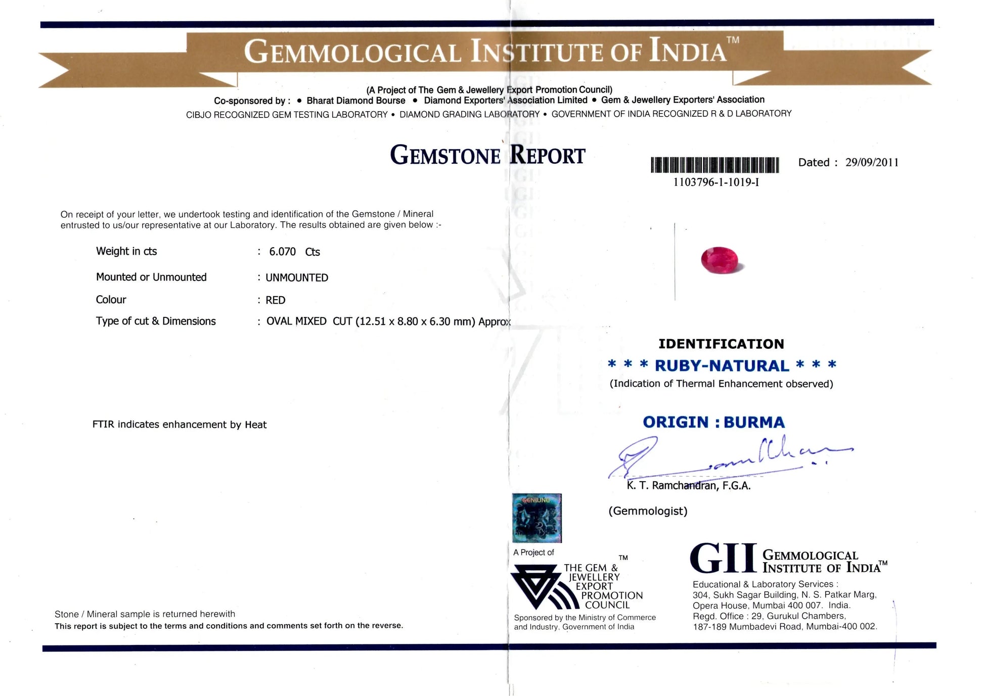 6.07 Ct Untreated GII certified Old Burma Mines Ruby **RARE**