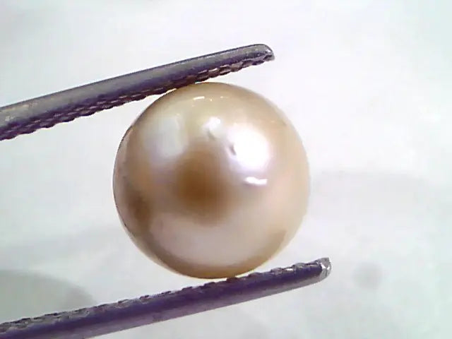 6.11 Ct Natural Certified Real South Sea Pearl,Certified Moti