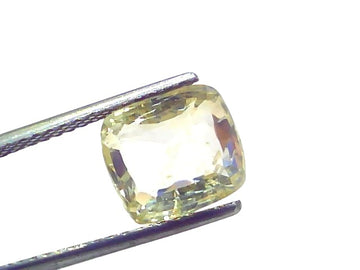 6.07 carat GII certified Ceylon natural yellow sapphire Pukhraj, cushion-cut, held between tweezers, showcasing its clarity a