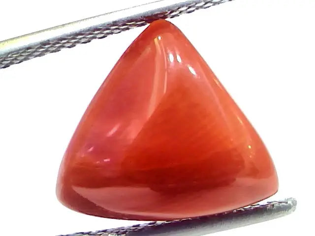 6.09 Ct 10.1 Ratti Natural Italian Triangle Red Coral Moonga Gemstone