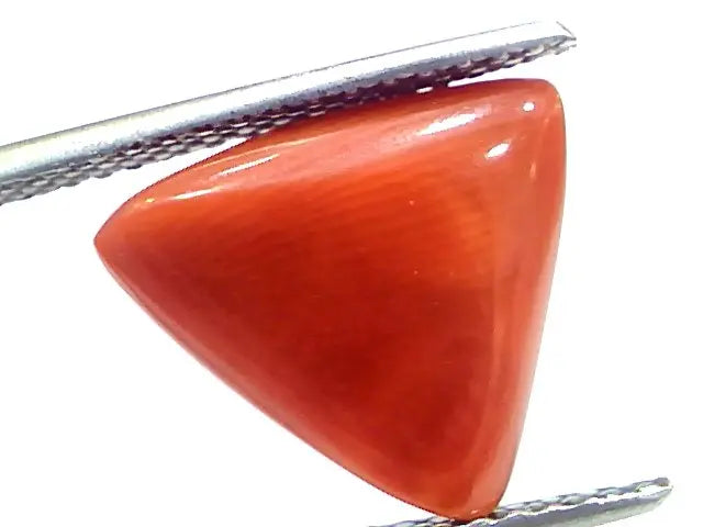 6.09 Ct 10.1 Ratti Natural Italian Triangle Red Coral Moonga Gemstone