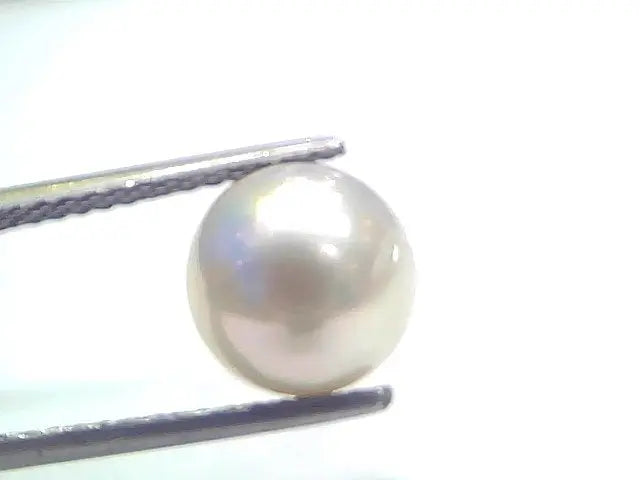 5.96 Ct Natural Certified Real South Sea Pearl Certified Moti