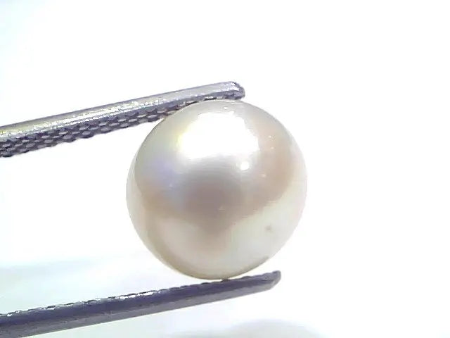 6.10 Ct Natural Certified Real South Sea Pearl Certified Moti